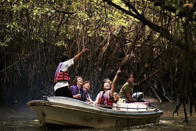 Mangrove Kayaking Adventure in Langkawi (Shared Tour) - FAQ