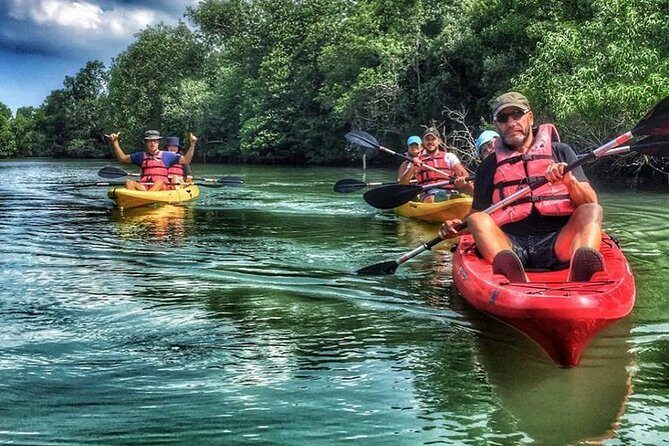 Mangrove Kayaking Adventure in Singapore - Who Should Book This Tour?