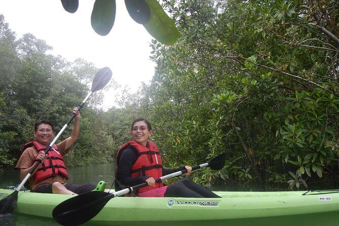 Mangrove Kayaking Adventure in Singapore - FAQs