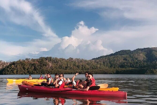 Mangrove Kayaking Experience in Borneo - The Itinerary in Detail: What to Expect on Your Kayaking Morning