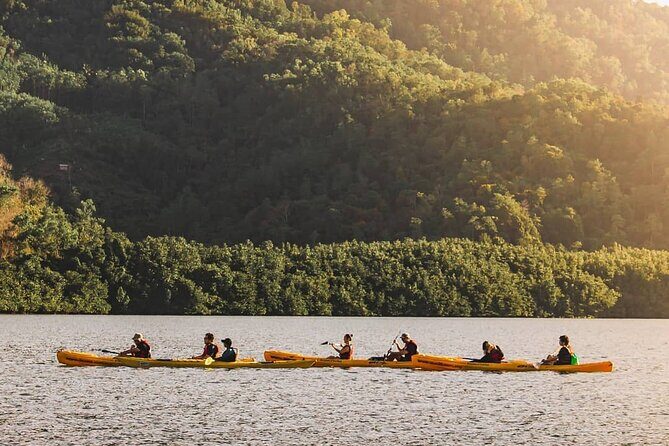 Mangrove Kayaking Experience in Borneo - The Experiences Highlights and Potential Drawbacks
