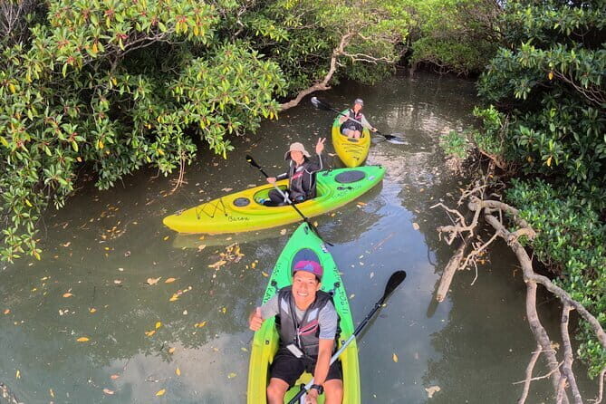 Mangrove Kayaking in Amami Oshima Island Tour - Key Points