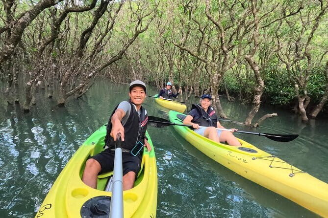 Mangrove Kayaking in Amami Oshima Island Tour - What to Expect on the Mangrove Kayaking Tour