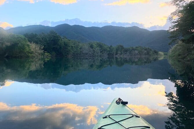 Mangrove Kayaking in Amami Oshima Island Tour - The Sum Up
