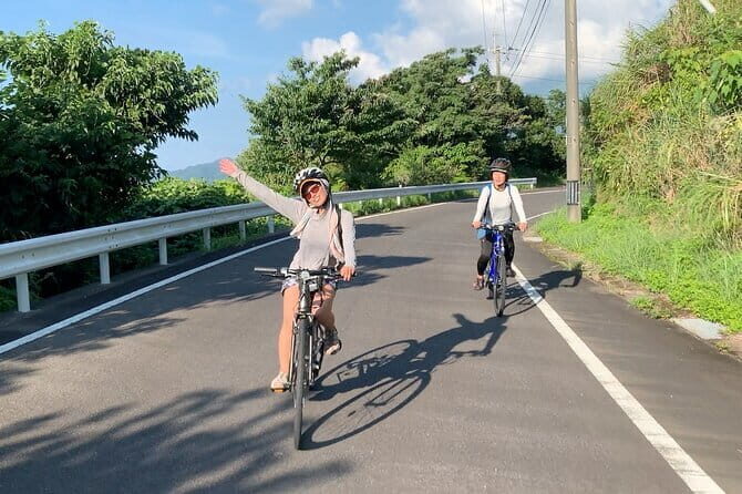 Mangrove Kayaking in Amami Oshima Island Tour - FAQ