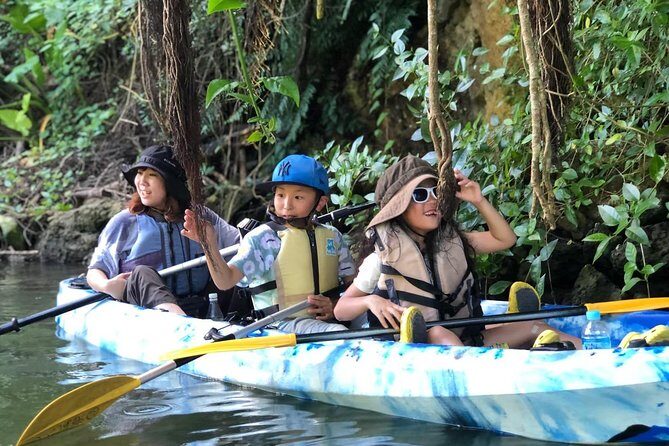 Mangrove kayaking to enjoy nature in Okinawa - An In-Depth Look at the Experience