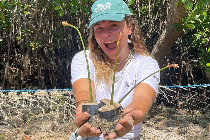 Mangrove Reforestation and Exploration around the Nusa Islands - The Value in the Details