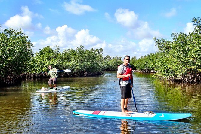 Mangrove SUP Safari - Key Points