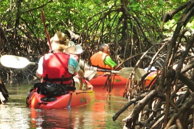 Mangrove Tour by Kayaking in Ko Lanta With Lunch - A Detailed Look at What the Tour Offers