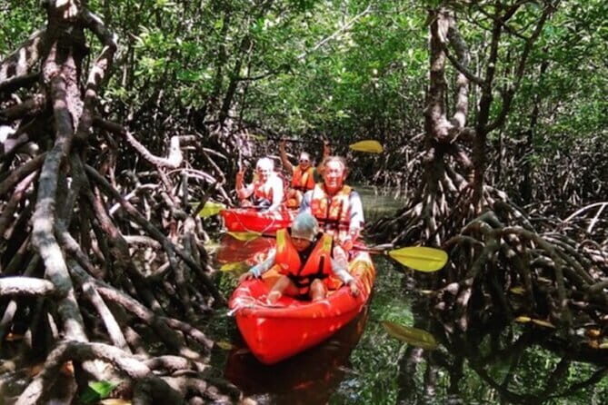Mangrove Tour by Kayaking in Ko Lanta With Lunch - Who Will Love This Tour?