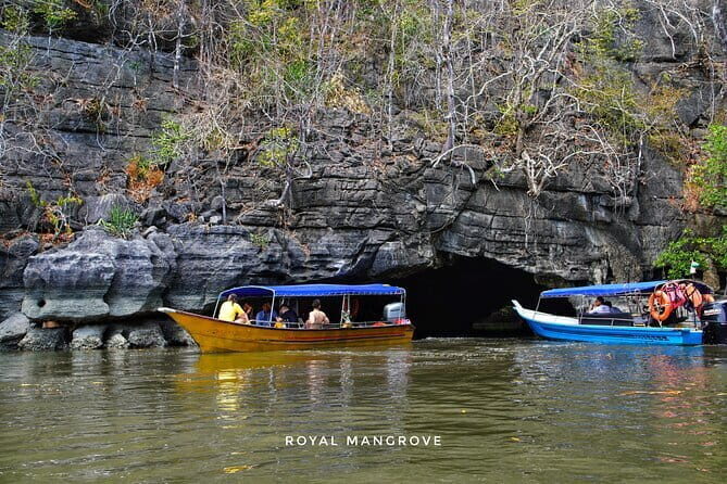 Mangrove Tour with Snorkelling - Key Points