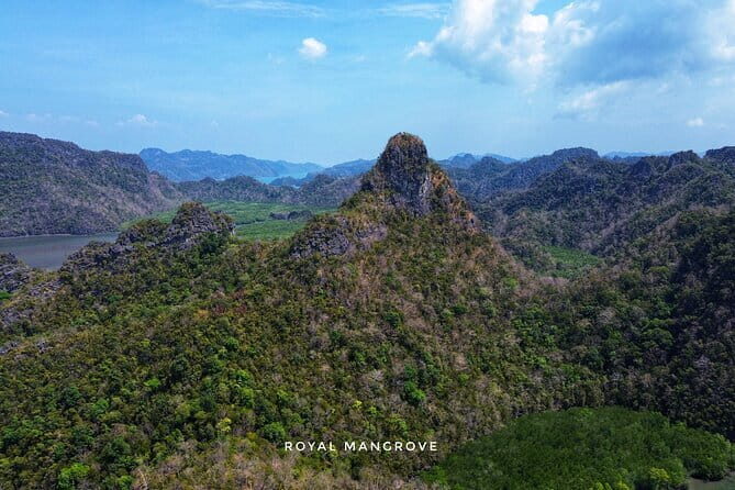 Mangrove Tour with Snorkelling - Detailed Review of the Mangrove Tour with Snorkelling