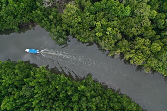 Mangrove Tour with Snorkelling - FAQ