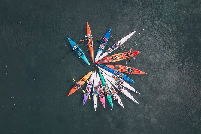Mangroves and Mansions Guided Kayak Tour on the Noosa River - A Closer Look at the Mangroves and Mansions Guided Kayak Tour