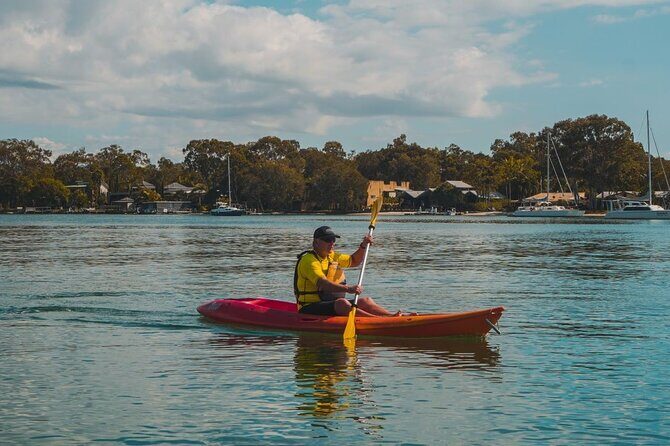 Mangroves and Mansions Guided Kayak Tour on the Noosa River - FAQ