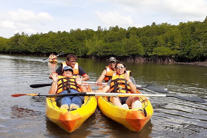 Mangroves Kayaking At Havelock - What to Expect from the Mangroves Kayaking Tour at Havelock