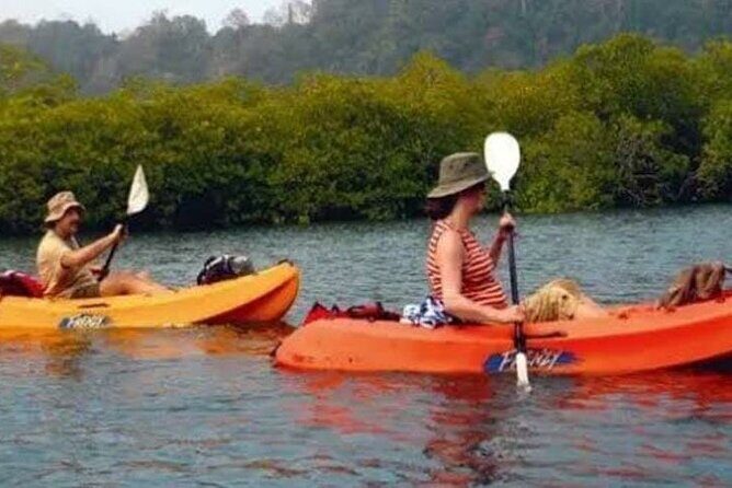 Mangroves Kayaking At Havelock - Analyzing the Value