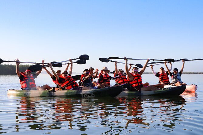 Mangroves Kayaking Tour from Cancun - An In-Depth Look at the Cancun Mangroves Kayaking Tour