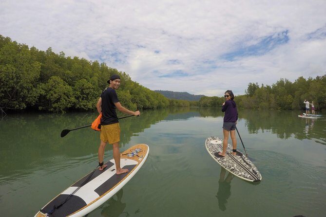 Mangroves SUP Tour Phuket - The Experience: A Detailed Look at the Mangroves SUP Tour Phuket
