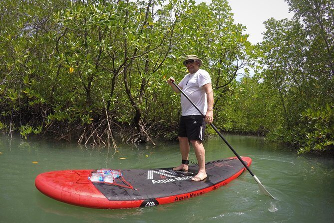 Mangroves SUP Tour Phuket - Paddleboarding Through the Mangroves