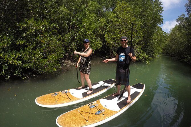 Mangroves SUP Tour Phuket - Duration and Schedule