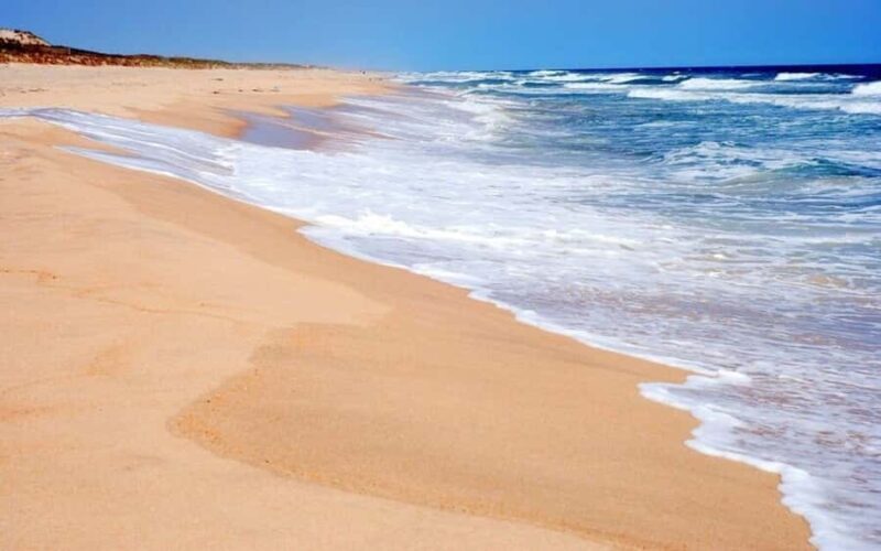 Manhattan to Hamptons: Beaches & Villages Tour - Who Should Consider This Tour?