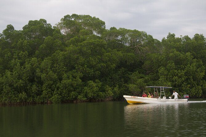 Manialtepec Lagoon from Puerto Escondido - An In-Depth Look at the Manialtepec Lagoon Tour