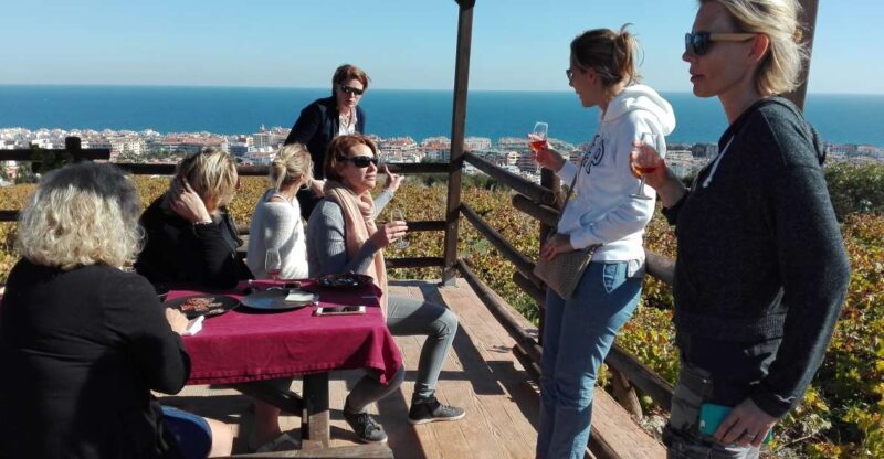 Manilva: Nilva Vineyard, Wine Tasting & Tapas Guided Tour - Key Points