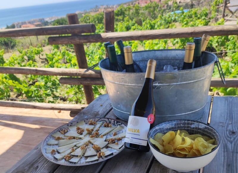 Manilva: Nilva Vineyard, Wine Tasting & Tapas Guided Tour - Who Should Book This?