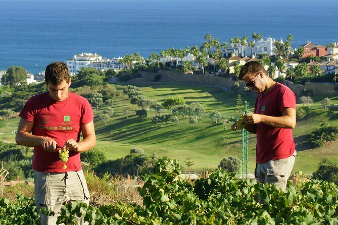 Manilva Oceanfront Wine Experience in the Marbella Area - A Deep Dive Into the Manilva Oceanfront Wine Tour