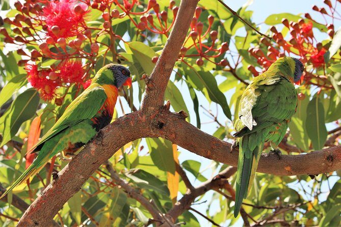 Manly and more private tour - The Value of a Guided, Private Experience