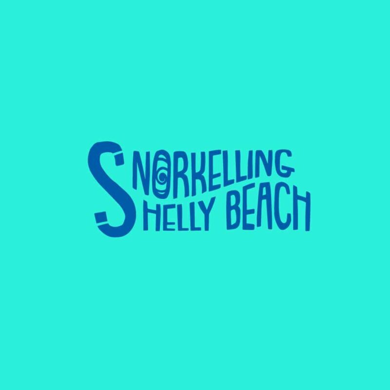 Manly Beach Guided Snorkeling Tours - Practical Details: Transport, Duration, and Cost
