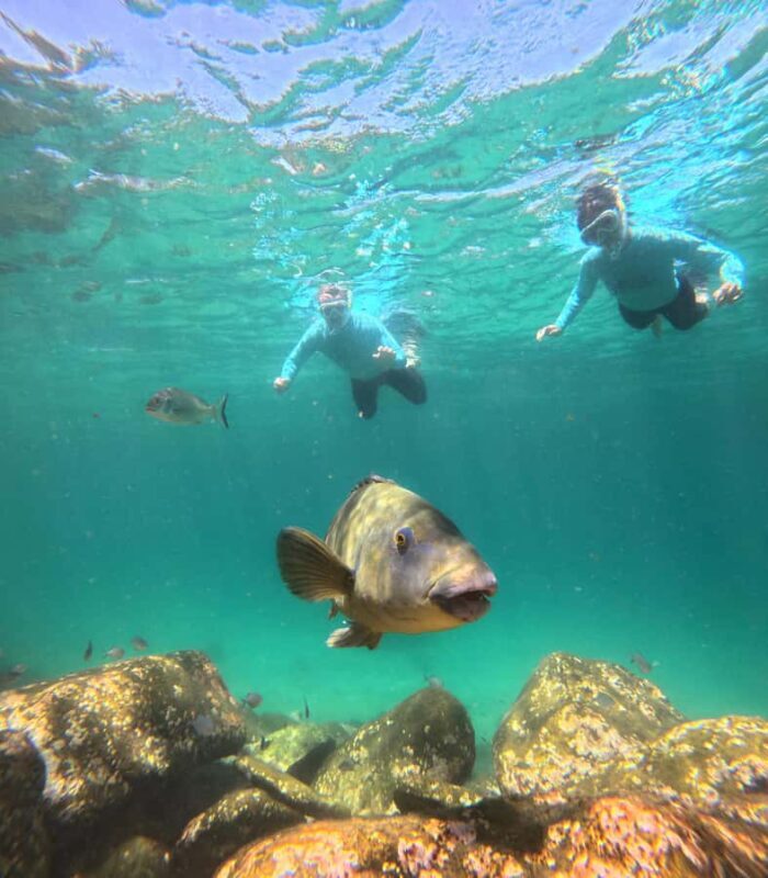 Manly Beach Guided Snorkeling Tours - FAQ