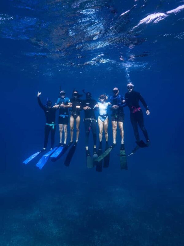 Manly: Beginner Freediving: Breath-Hold & Ocean Exploration - Why You Should Consider This Tour