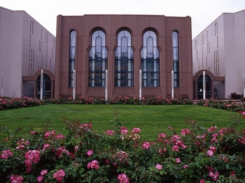 Mannheim, guided costume tour: Hangmen, Witches, Huguenots - Key Points