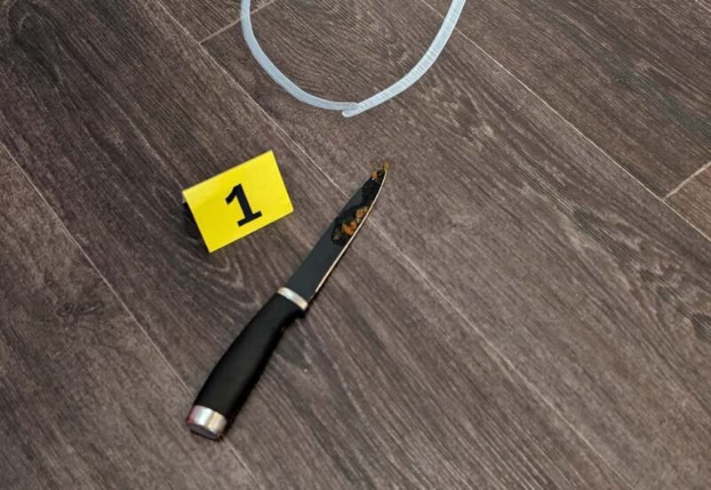 Mannheim, guided walking tour: Crime Scene Mannheim - Key Points