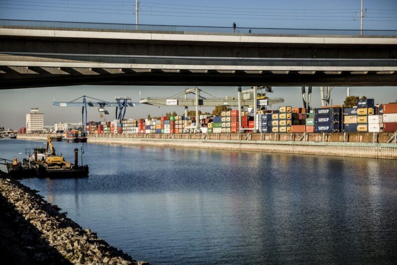 Mannheim, guided walking tour: Industrial culture at the commercial port - Authentic Experiences and Unique Perspectives