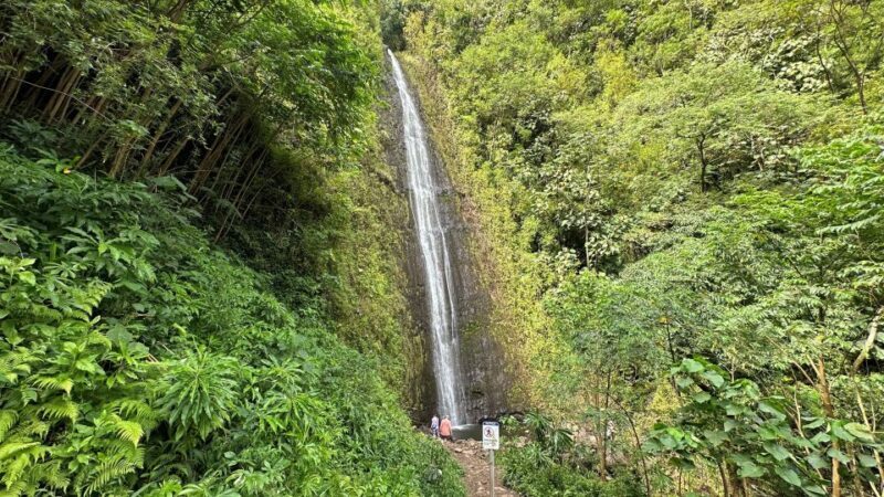 Manoa Falls eBike to Hike - Who Is This Tour Best For?