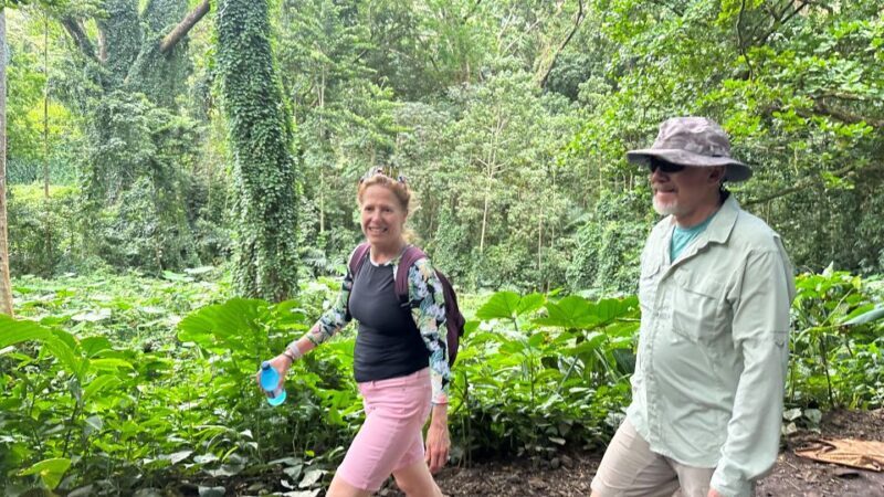 Manoa Falls eBike to Hike - Final Thoughts