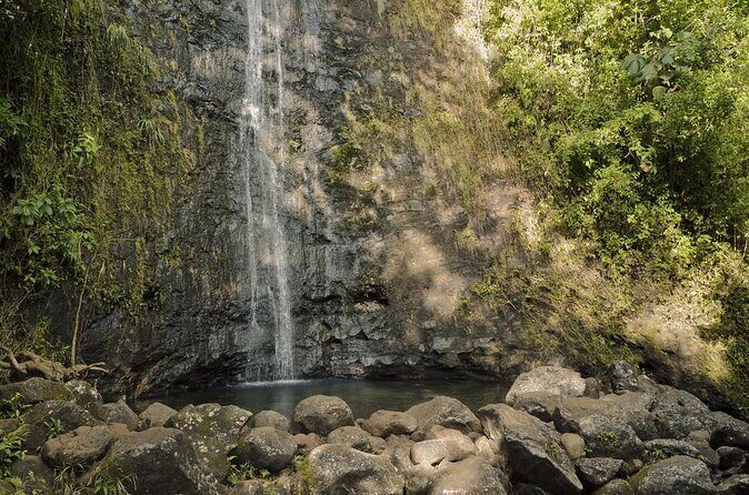Manoa Falls-Electric Bike to Hike Experience Local meal included - Key Points