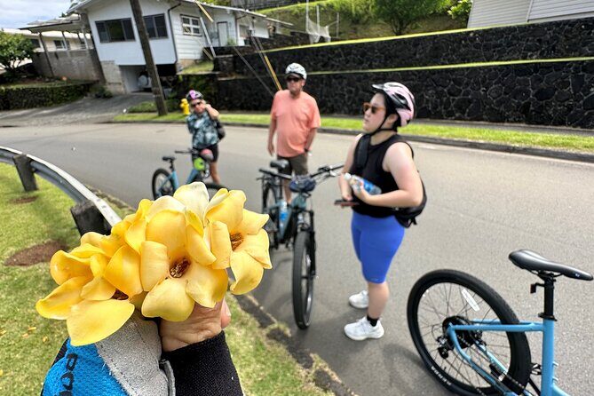 Manoa Falls-Electric Bike to Hike Experience Local meal included - The Highlights of the Manoa Falls-Electric Bike Experience
