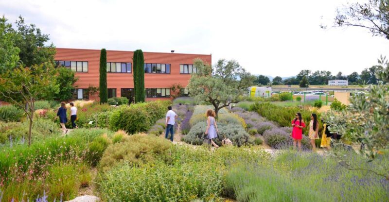 Manosque: L'Occitane en Provence Guided Factory Tour - The Experience’s Strengths and Considerations