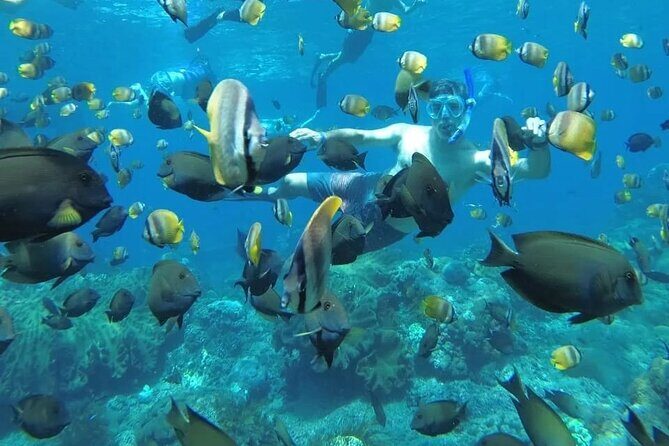 Manta Bay Snorkeling Adventure with Kelingking Beach Nusa Penida All Inclusive - Manta Bay Snorkeling Adventure with Kelingking Beach Nusa Penida All Inclusive: A Detailed Review