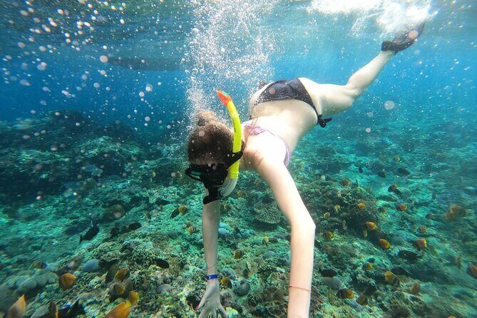 Manta Bay Snorkeling Adventure with Kelingking Beach Nusa Penida All Inclusive - Key Points
