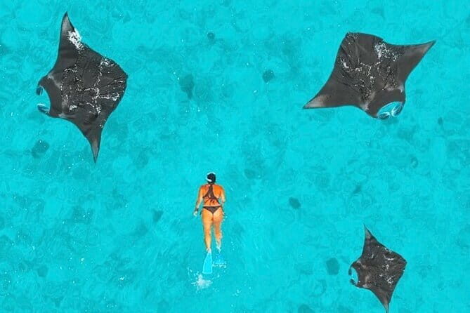 Manta Point Snorkeling & West Nusa Penida Island Day Tour - An In-Depth Look at the Experience