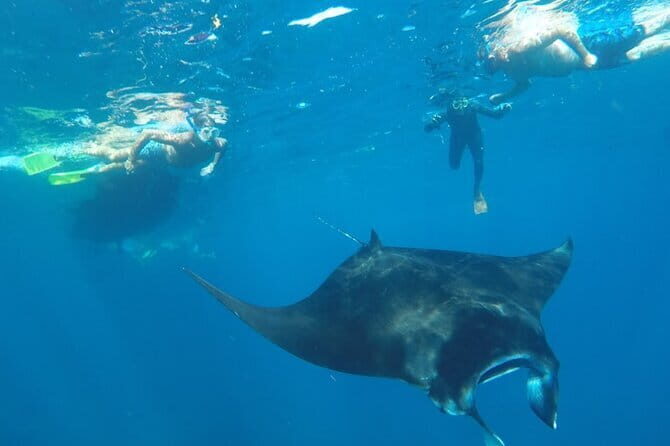 Manta Point Snorkeling & West Nusa Penida Island Day Tour - Frequently Asked Questions