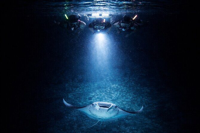 Manta Ray Night Snorkel Adventure in Kailua-Kona - Introduction