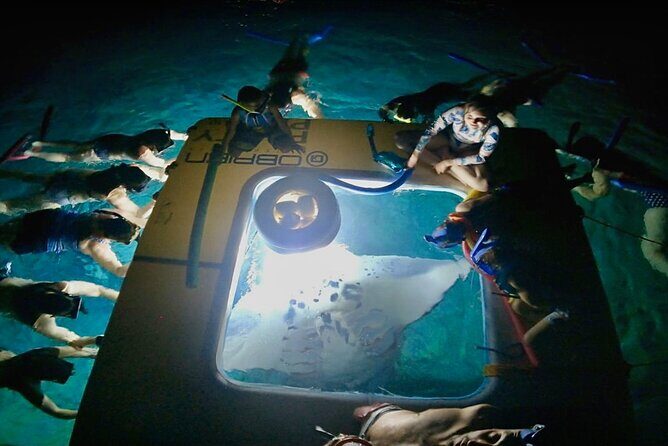 Manta Ray Snorkel Experience - Key Points