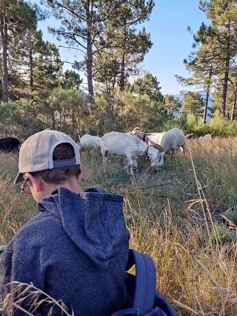 Manteigas: Serra da Estrela Shepherd Path Hike with Shepherd - Highlights and Authentic Touches