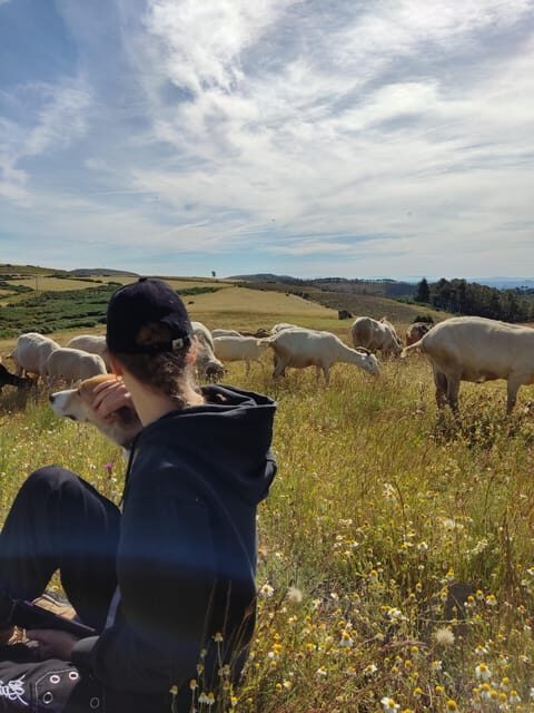 Manteigas: Serra da Estrela Shepherd Path Hike with Shepherd - Practical Details for Travelers
